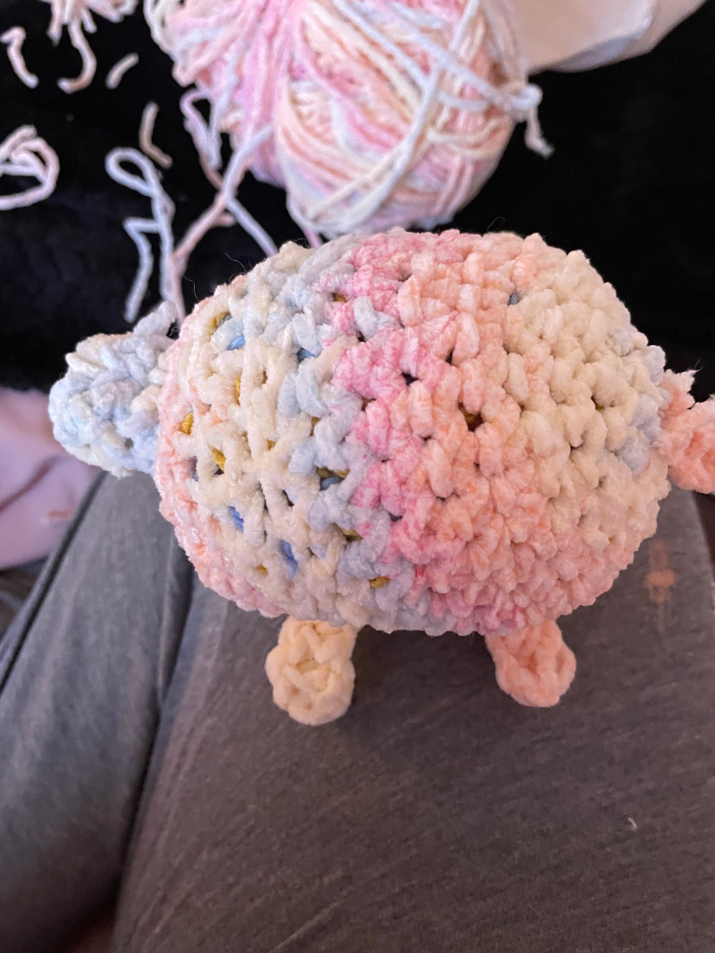 Turtle