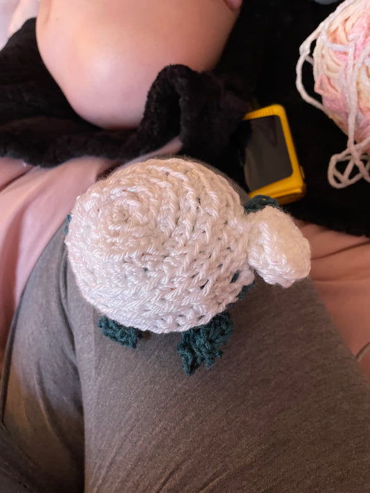 Turtle